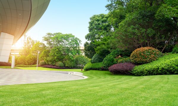 Commercial Shrub Trimming in Hattiesburg