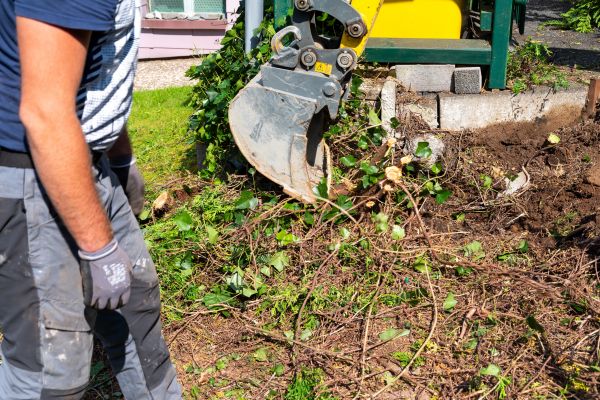 Hedge Removal Service in Hattiesburg