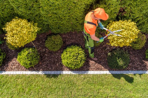 Cost of Topiary Trimming in Hattiesburg