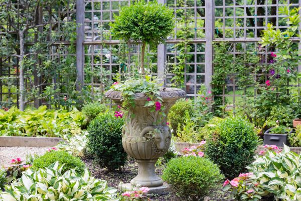 Cost of Topiary Pruning in Hattiesburg