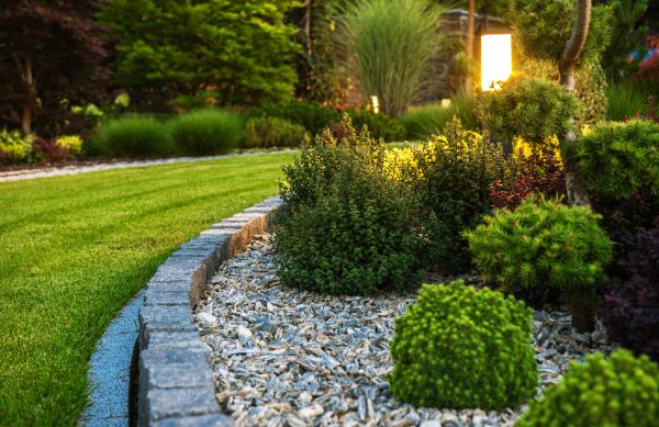 Cost of Bush Relocation in Hattiesburg