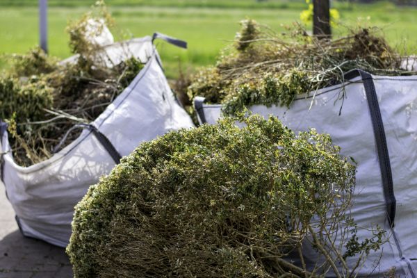 Cost of Shrubs Removal in Hattiesburg