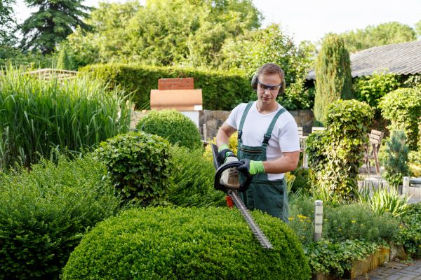 Shrubs Trimming in Hattiesburg