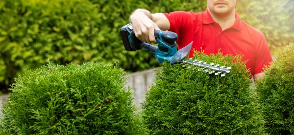 Cost of Hedge Shaping Service in Hattiesburg